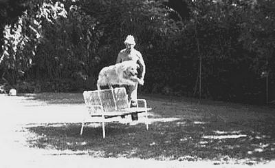 Clic pour agrandir l'image (850x519 pixels; 68 KB)