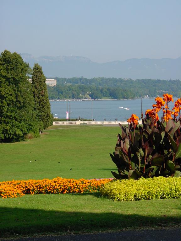 clic ici pour suivante