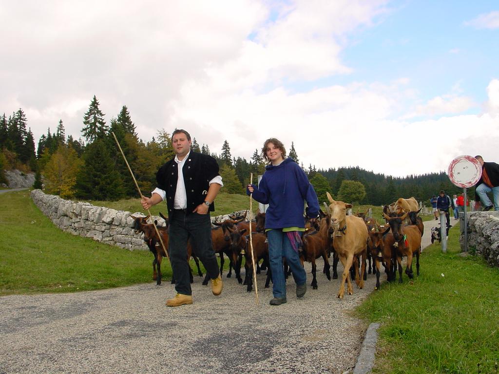 clic ici pour suivante