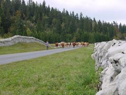 Clic pour agrandir l'image (1024x768 pixels; 155 KB)