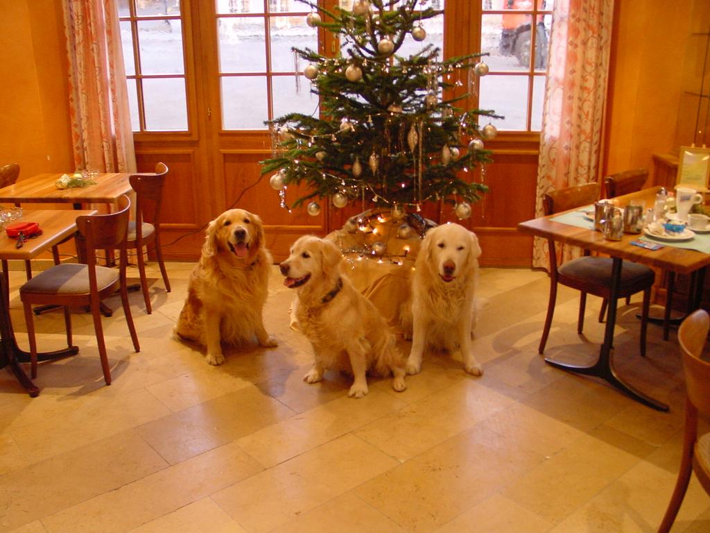 clic ici pour suivante