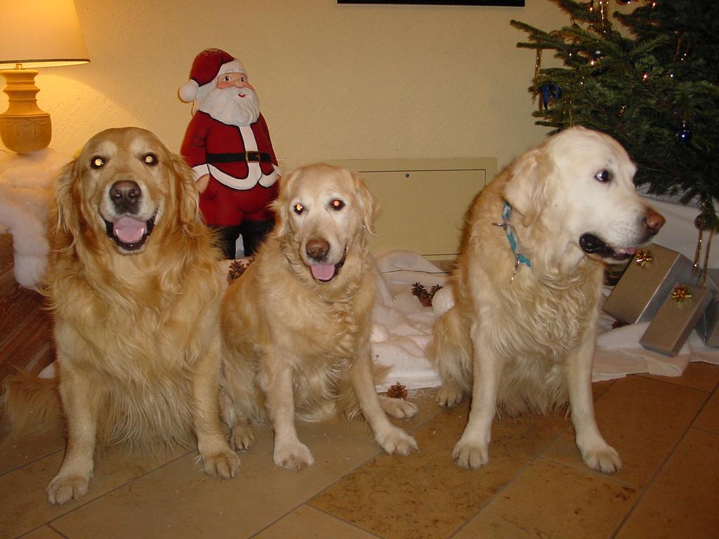 clic ici pour suivante