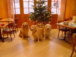 Clic pour agrandir l'image (1024x768 pixels; 108 KB)