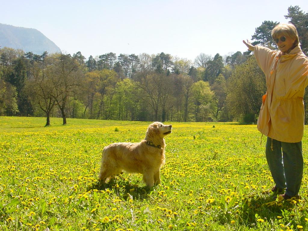 clic ici pour suivante