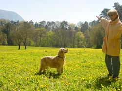 Pour agrandir l'image (1024x768 pixels; 193 KB)