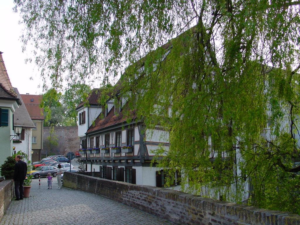 clic ici pour suivante