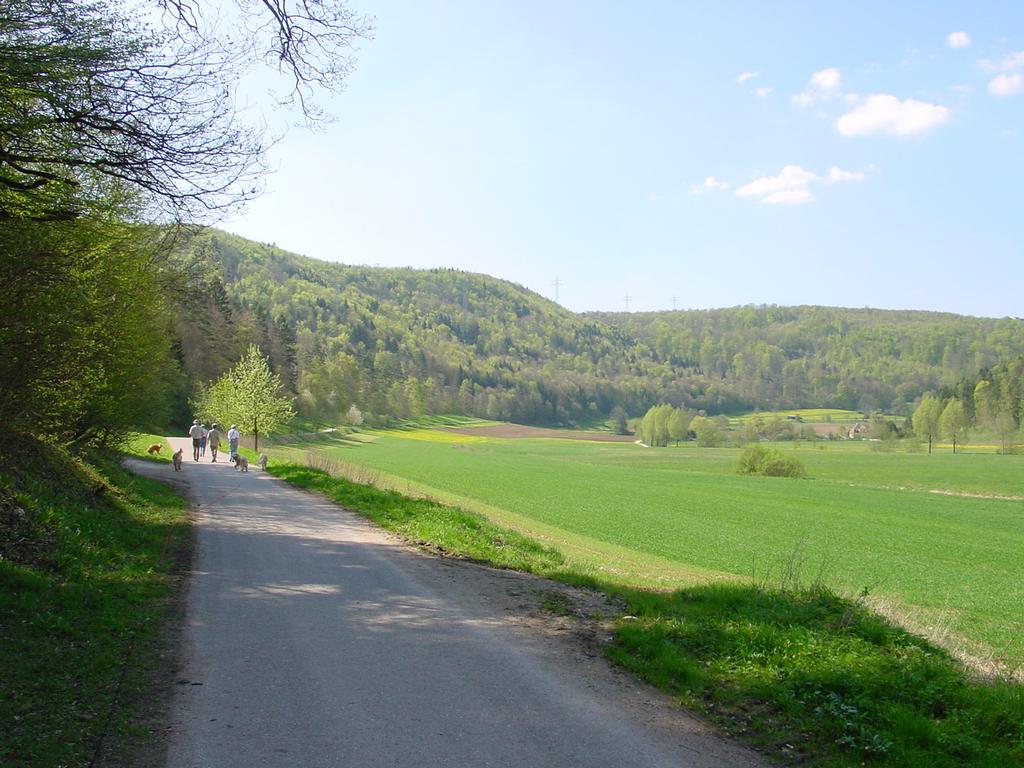 {Clic pour voir plus grand}