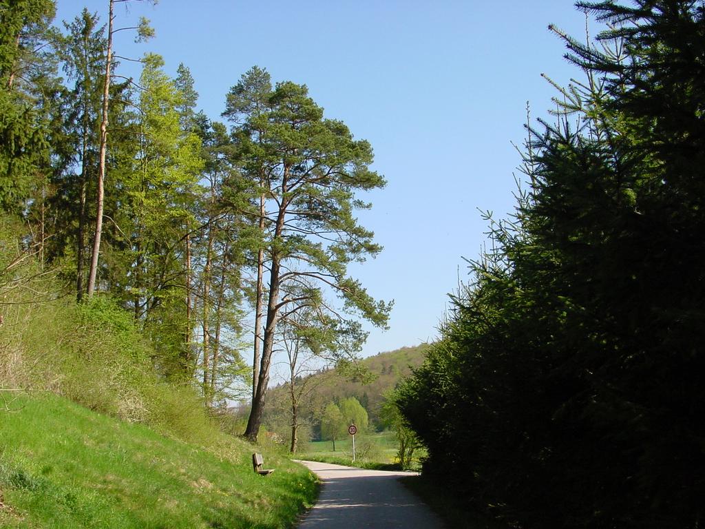 clic ici pour suivante