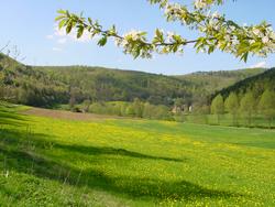 Clic pour agrandir l'image (1024x768 pixels; 167 KB)