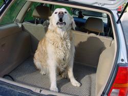 Clic pour agrandir l'image (1024x768 pixels; 122 KB)