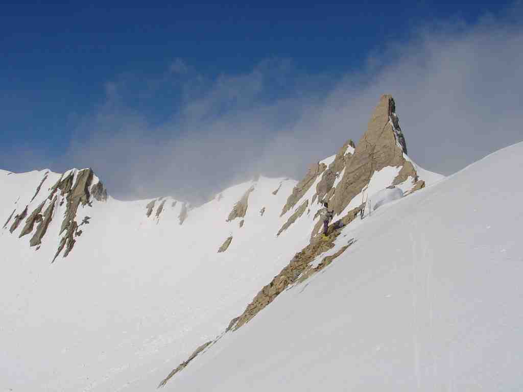 Cliquer pour voir l'image suivante