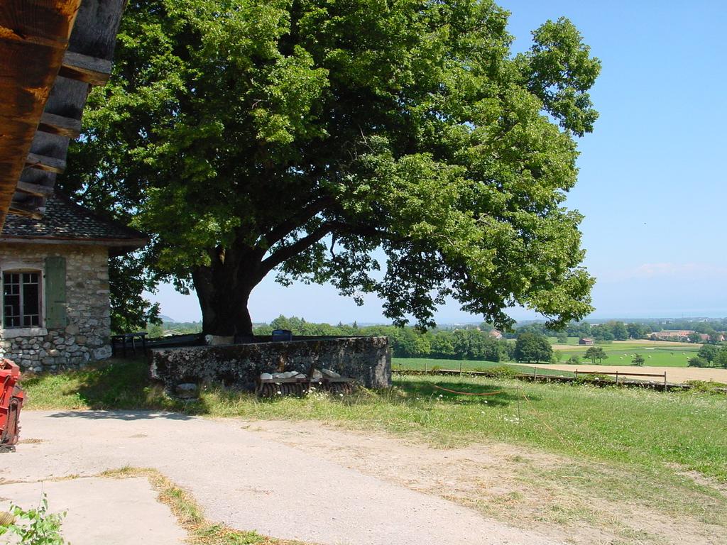 clic ici pour suivante