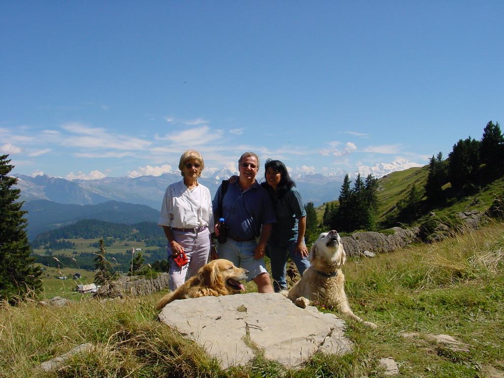 clic ici pour suivante