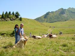 Clic pour agrandir l'image (1024x768 pixels; 170 KB)