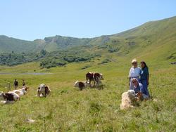 Clic pour agrandir l'image (1024x768 pixels; 162 KB)