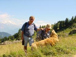 Clic pour agrandir l'image (1024x768 pixels; 154 KB)