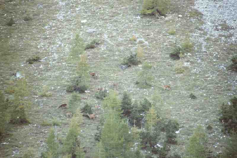 Clic ici pour voir l'image suivante