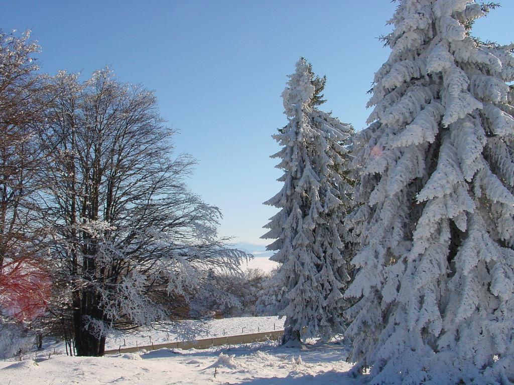 Clic pour voir l'image suivante