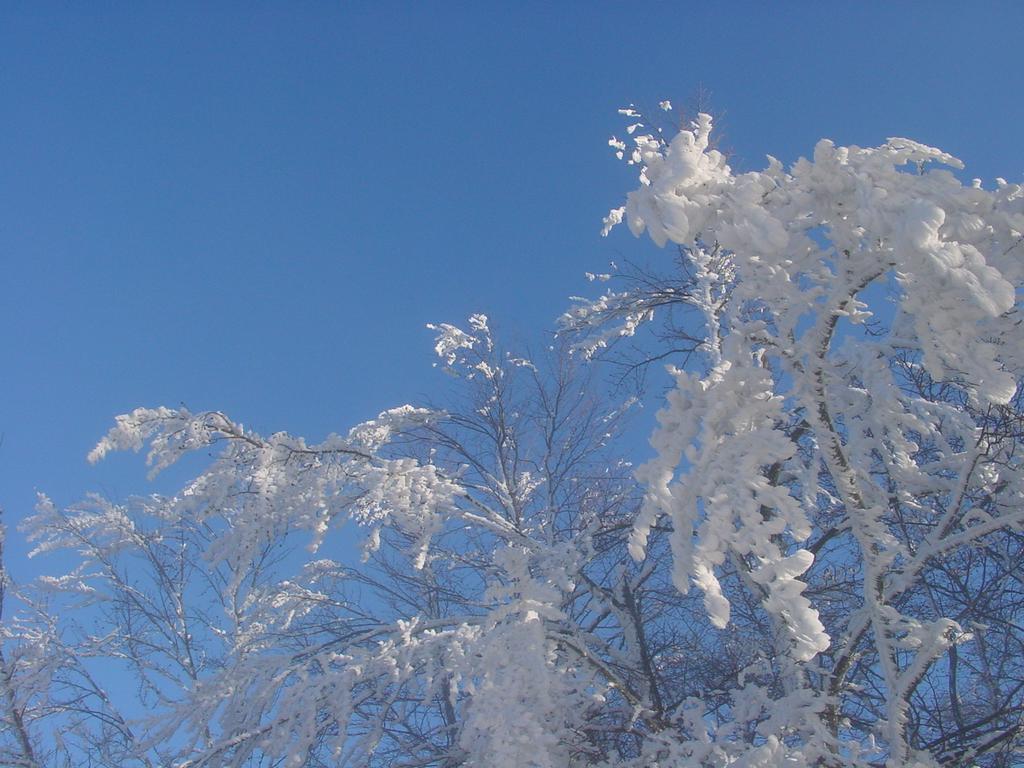 Clic pour voir l'image suivante