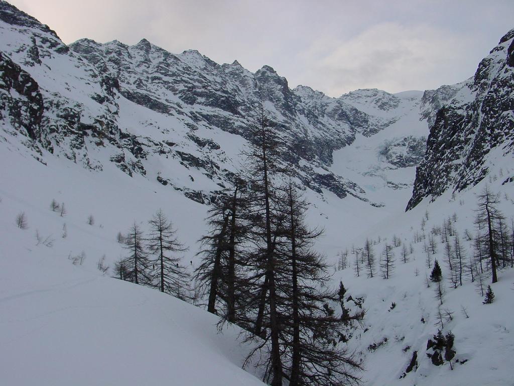 Cliqeu pour voir l'image suivante