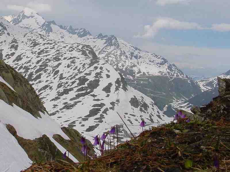 Clic ici pour voir l'image suivante