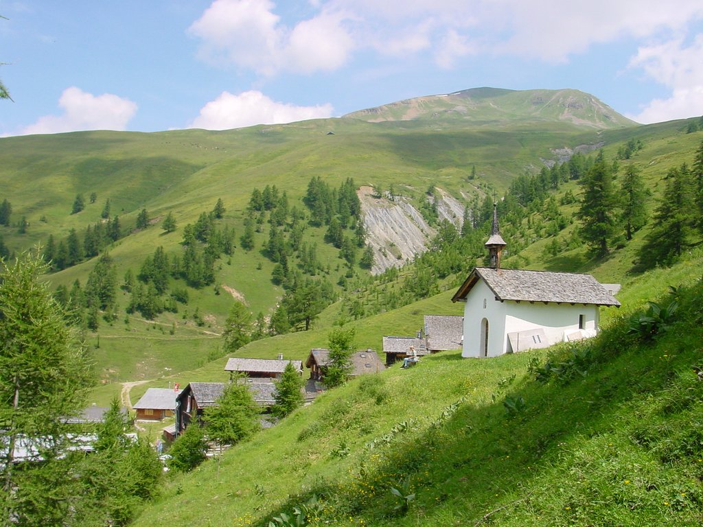 Cliquer pour voir l'image suivante