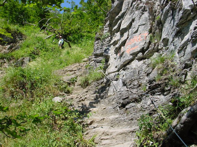 Click to see next picture