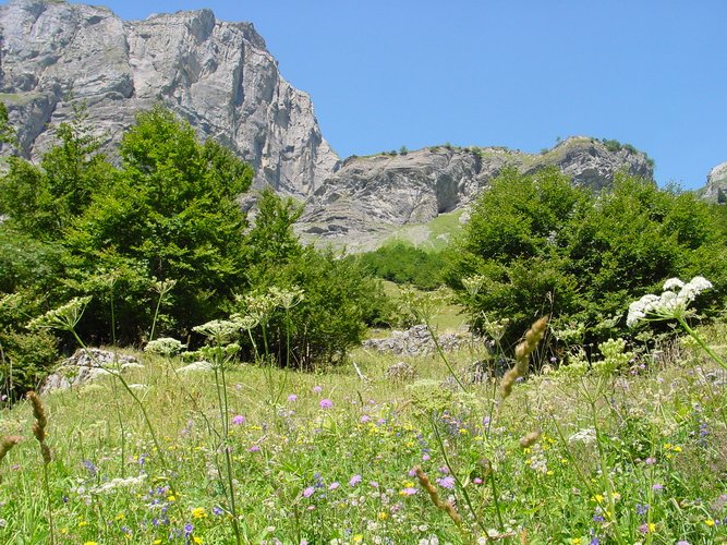 Click to see next picture