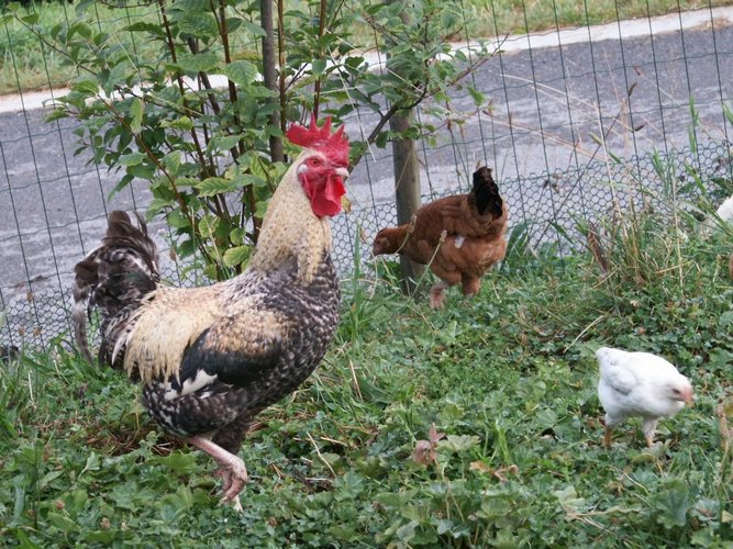 Click to see next picture