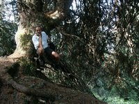 Click to see big picture (667x500 pixels; 157 KB)