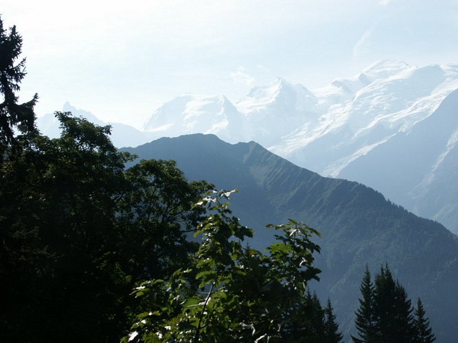 Click to see next picture