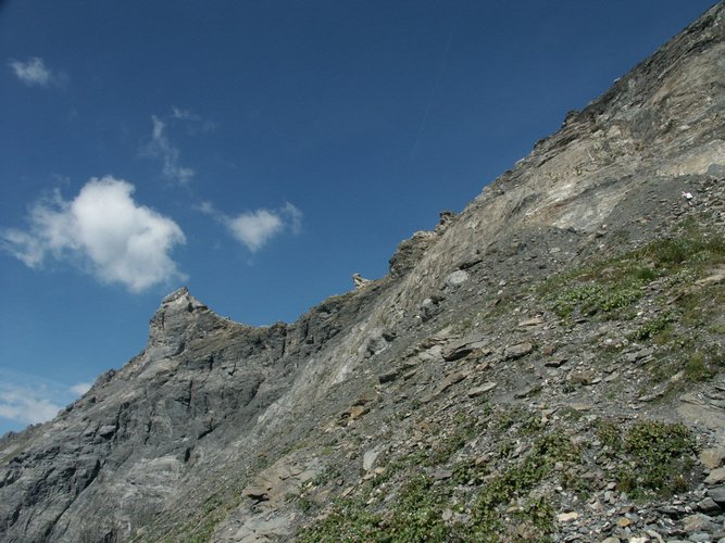 Click to see next picture