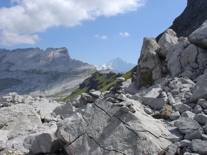 Click to see next picture