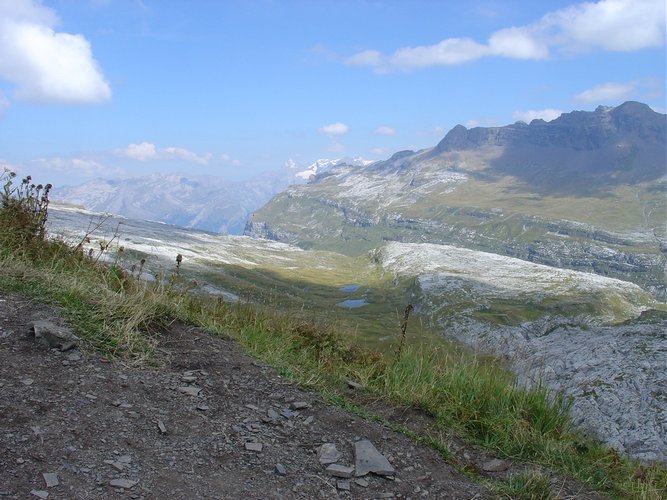 Click to see next picture