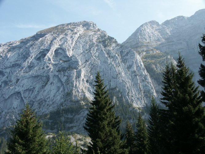 Click to see next picture