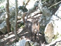 Click to see big picture (667x500 pixels; 142 KB)