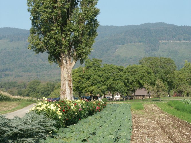 Click to see next picture