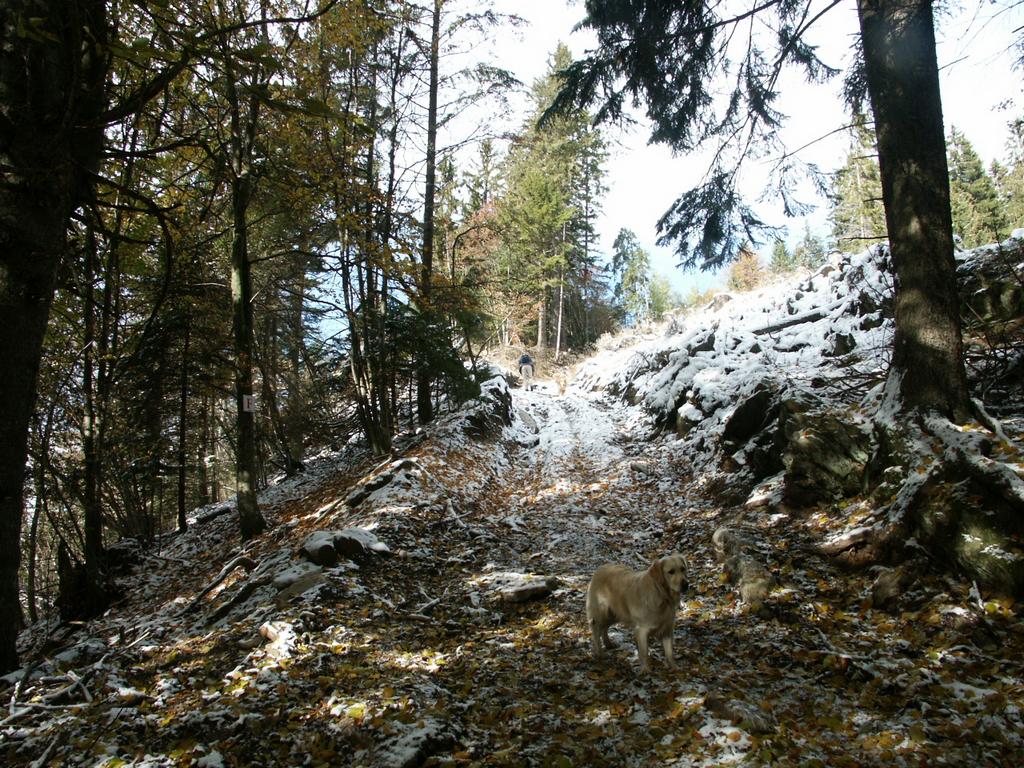 {Clic pour voir plus grand}