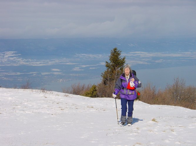 Click to see next picture