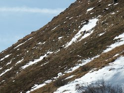 Click to see big picture (667x500 pixels; 110 KB)