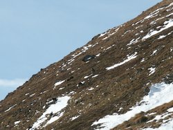 Click to see big picture (667x500 pixels; 100 KB)