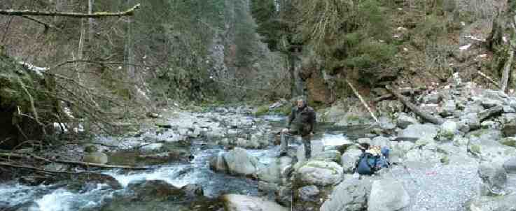 Click to see next picture