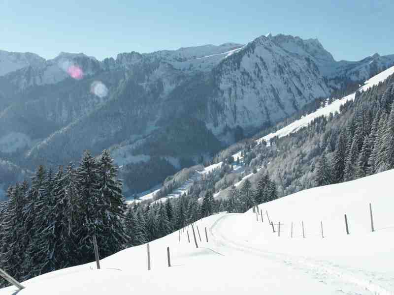 Click to see next picture