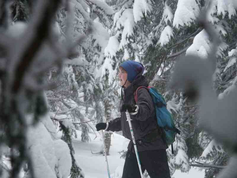 Clic ici pour voir l'image suivante