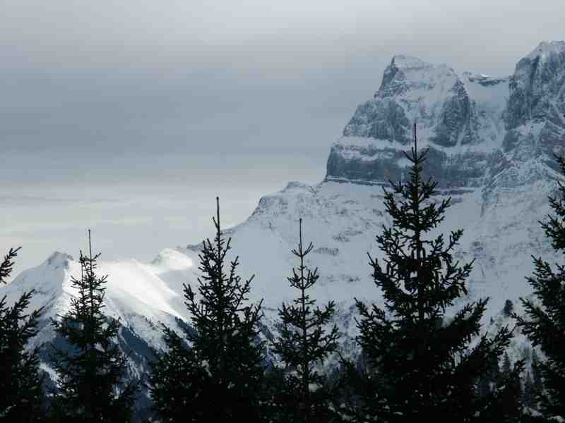 Clic ici pour voir l'image suivante