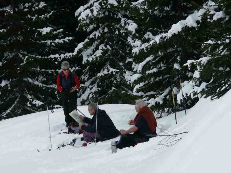 Clic ici pour voir l'image suivante