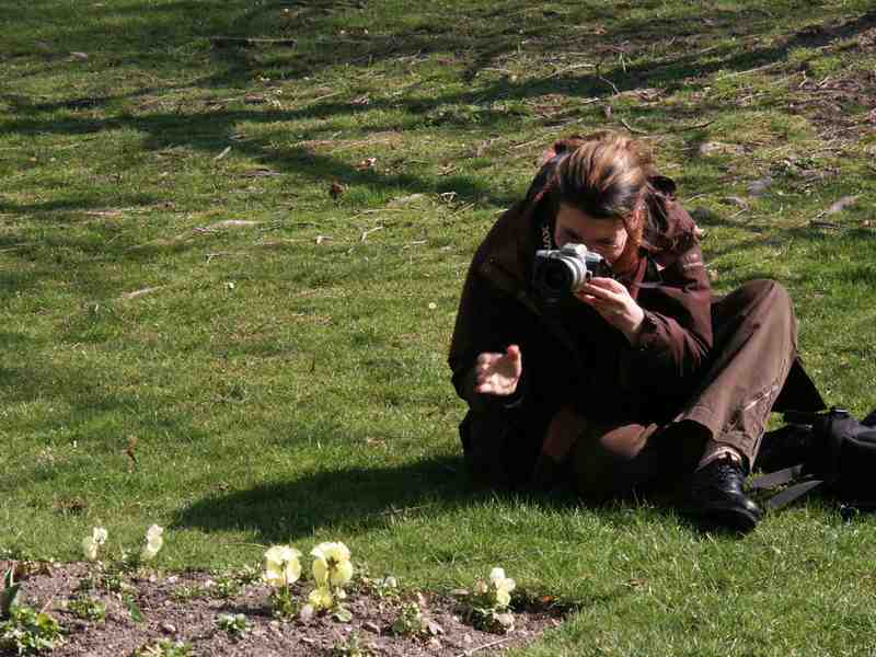 Clic ici pour voir l'image suivante