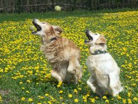 Click to see big picture (1024x768 pixels; 218 KB)