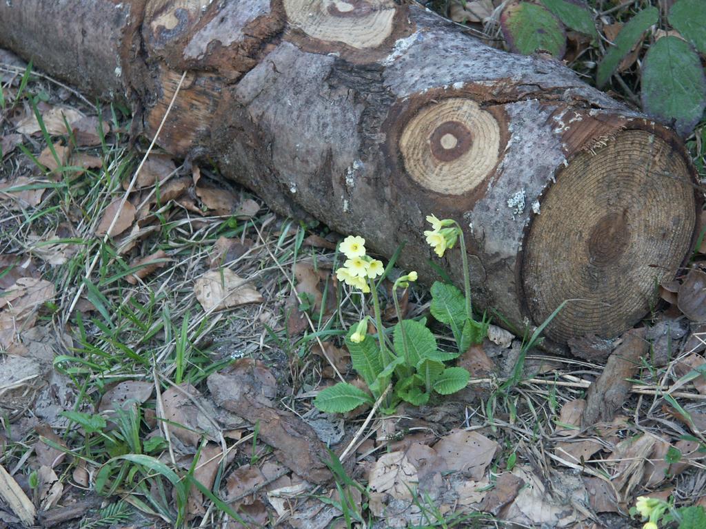 Clic pour l'image suivante