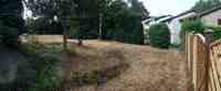 Cliquer pour agrandir l'image (800x330 :  31 KB pixels); 15.06.2004 11:20